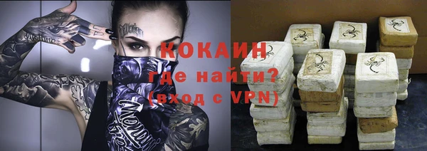 прущие грибы Заволжск