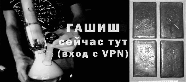 прущие грибы Заволжск