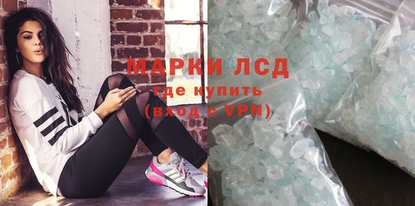 прущие грибы Заволжск