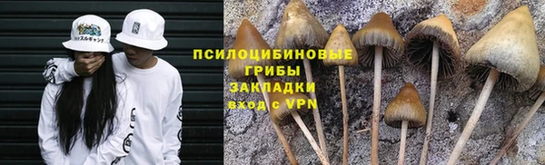 прущие грибы Заволжск