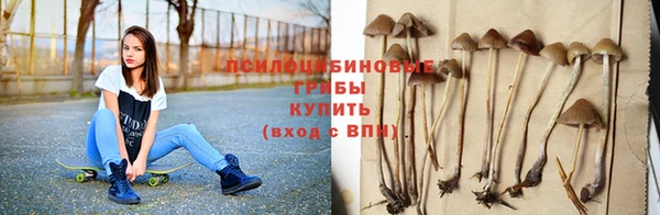 прущие крисы Заводоуковск