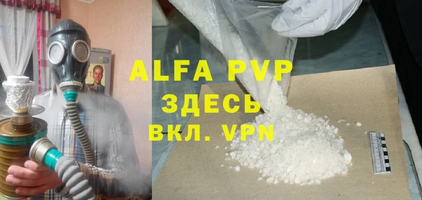 прущие грибы Заволжск