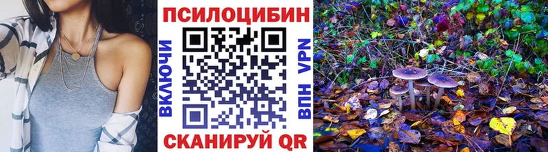 Галлюциногенные грибы Psilocybe Купить Валдай
