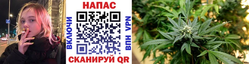 Купить закладки  Валдай  Конопля план 